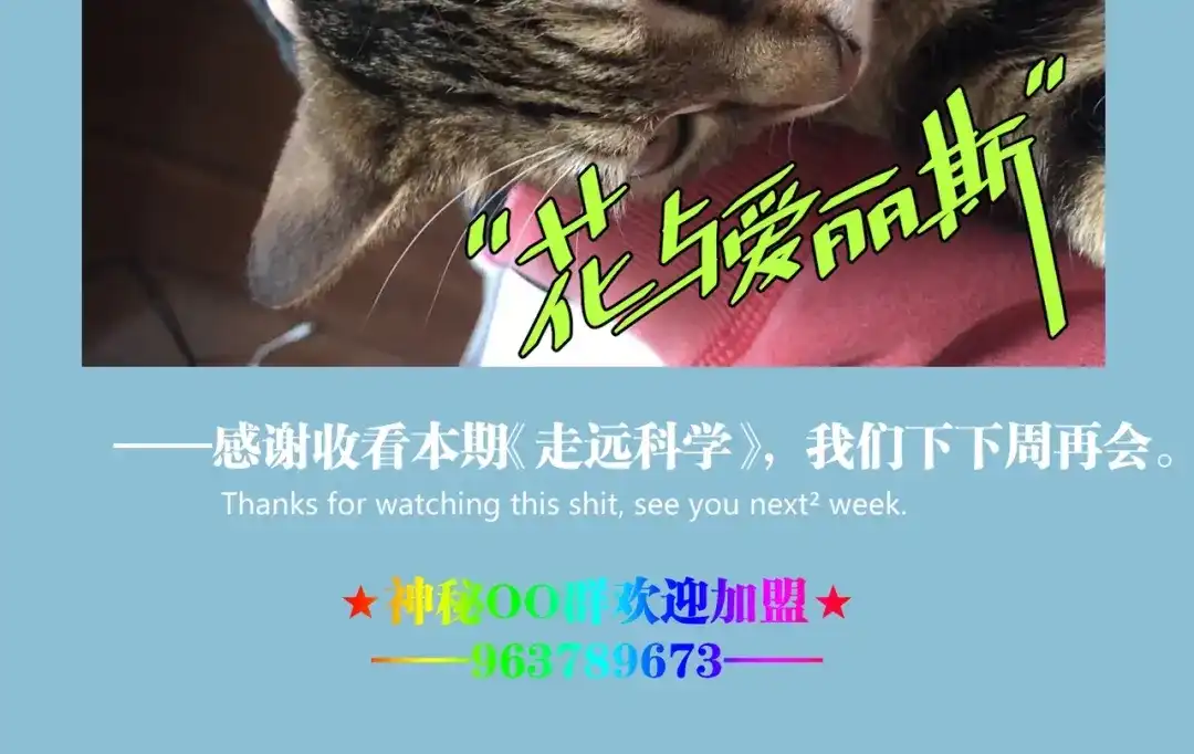 第175页