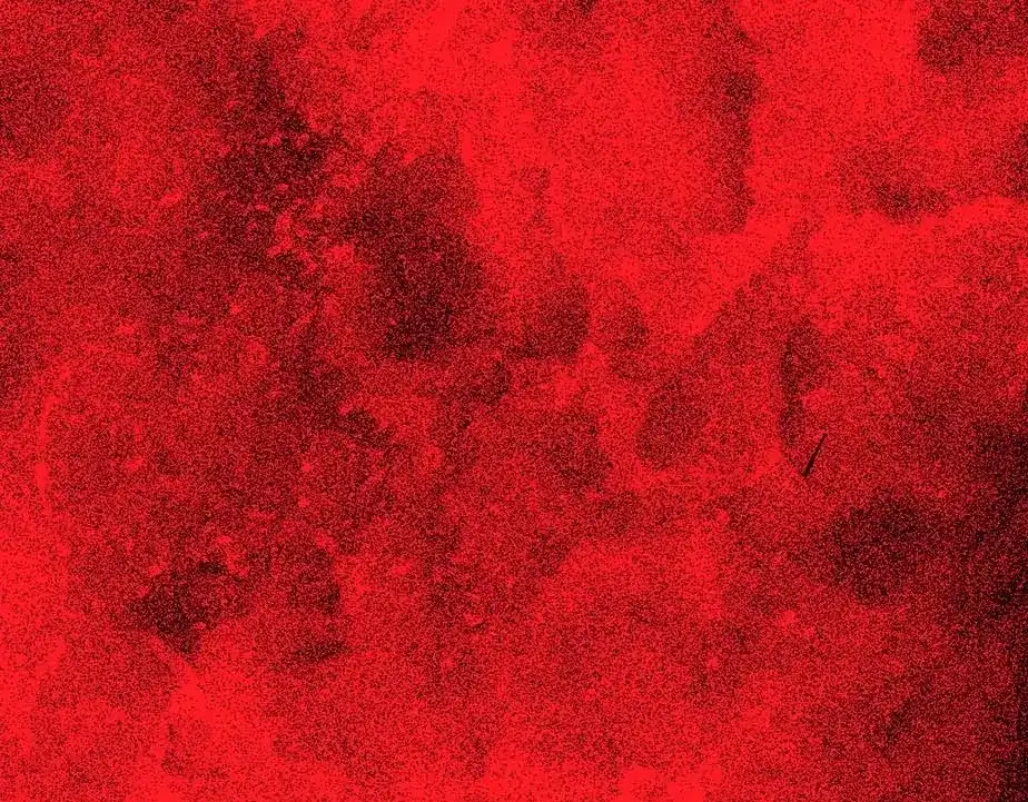 第142页
