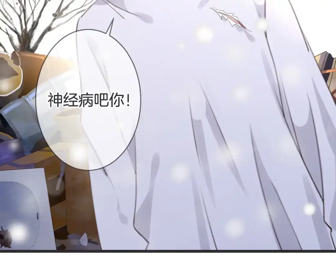 第213页