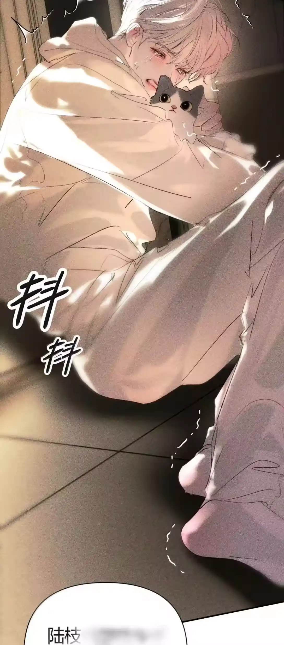 第43页