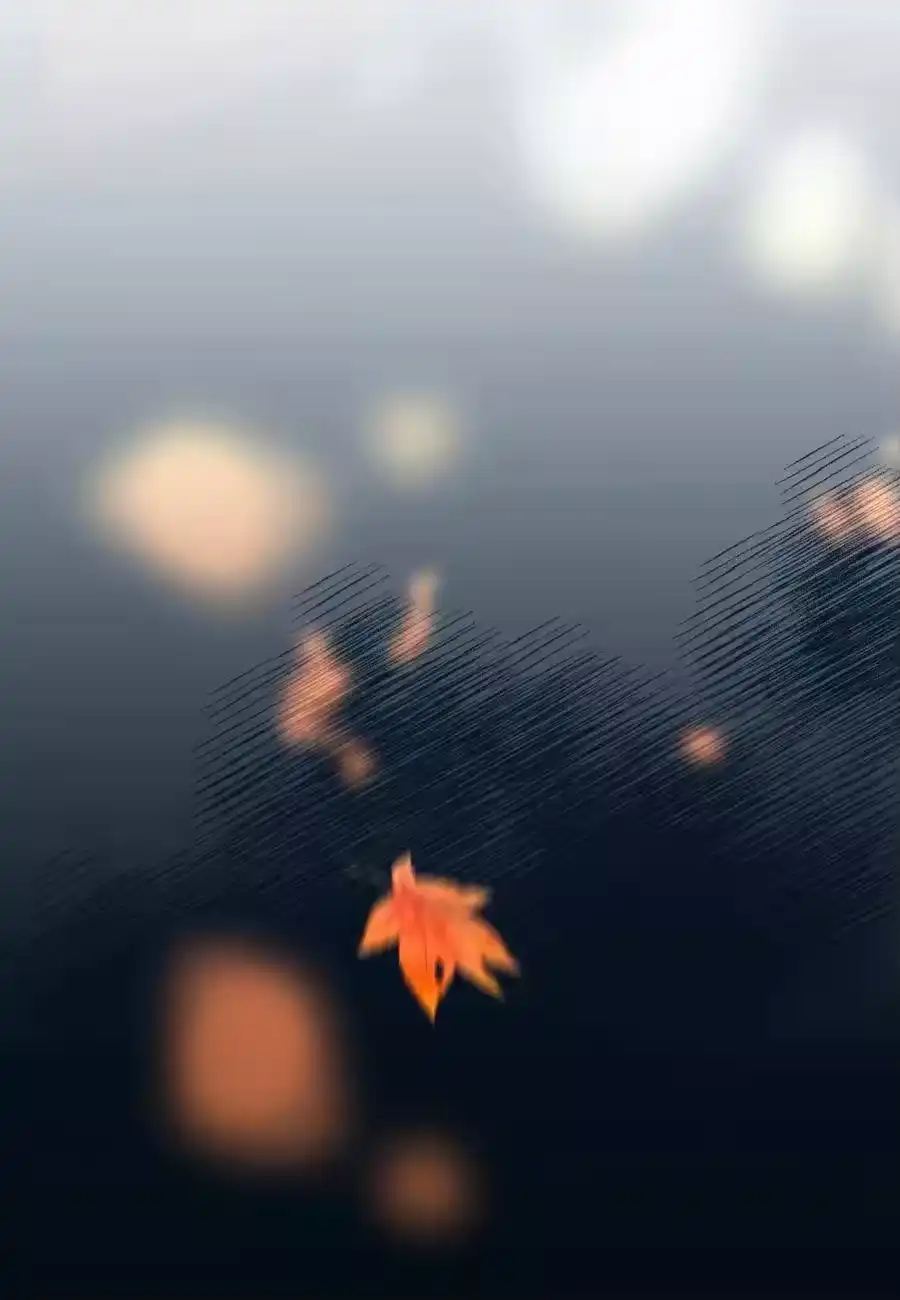 第78页