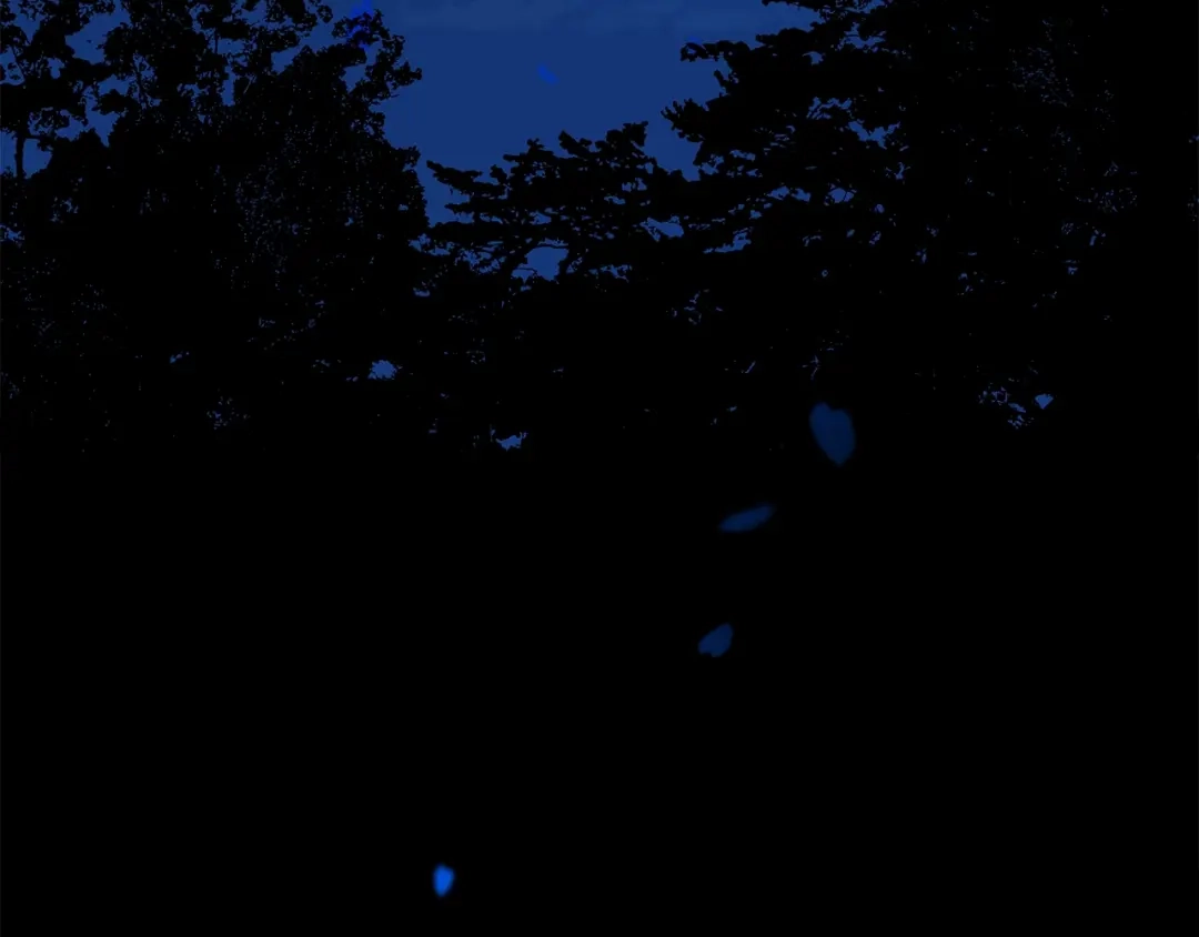 第173页