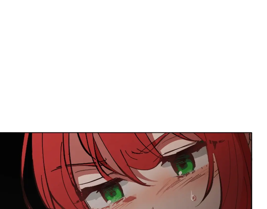 第224页