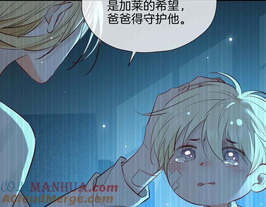 第185页