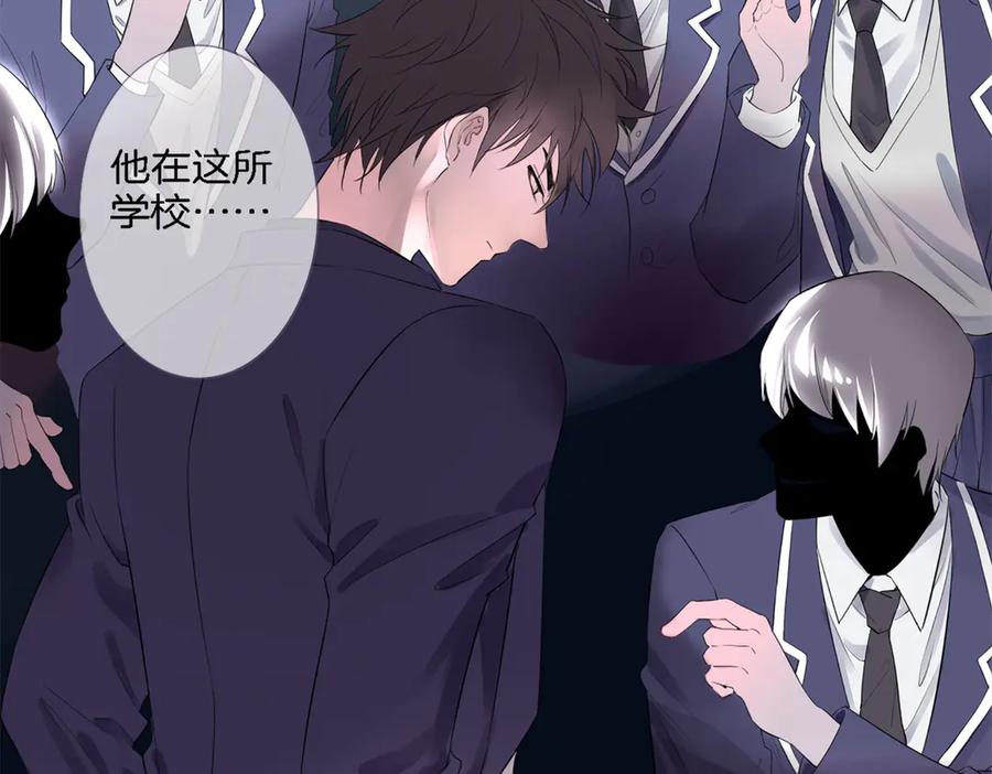 第223页