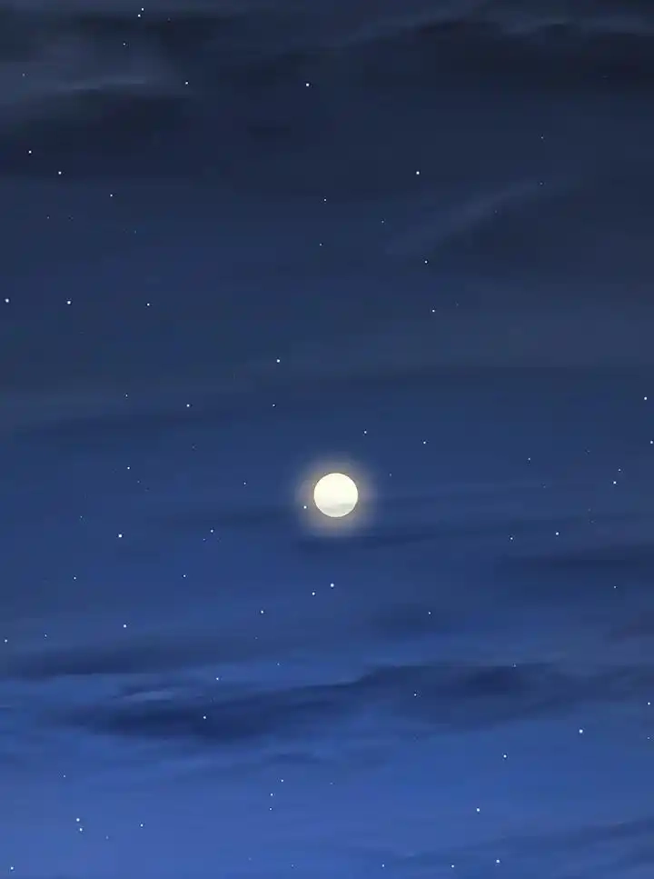 第133页