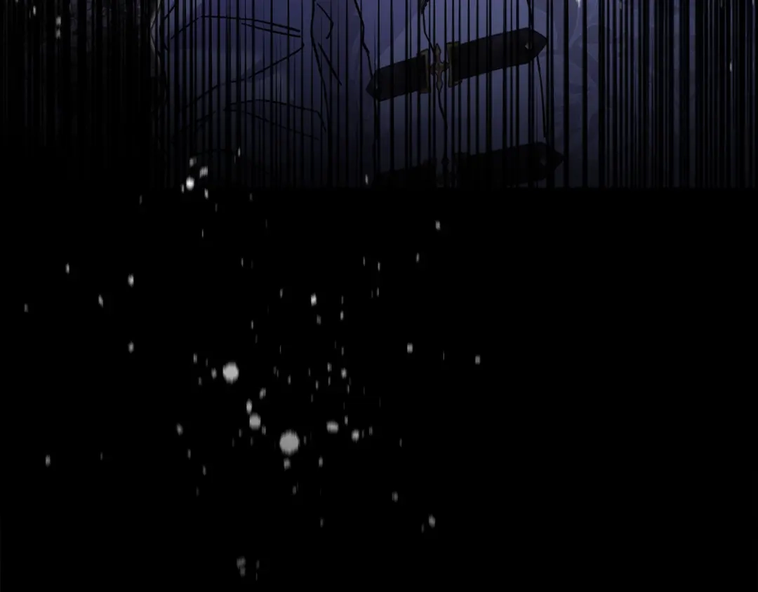 第213页