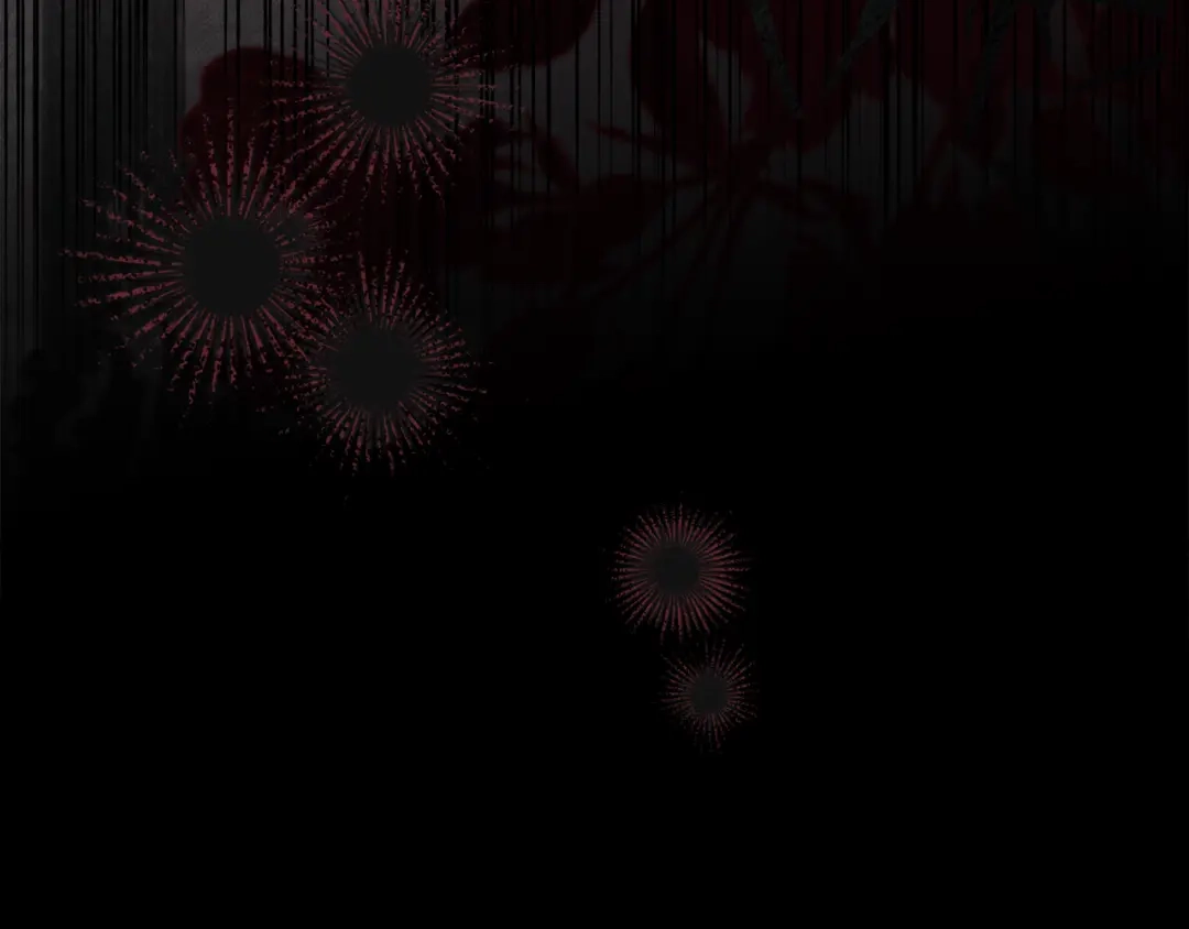 第204页