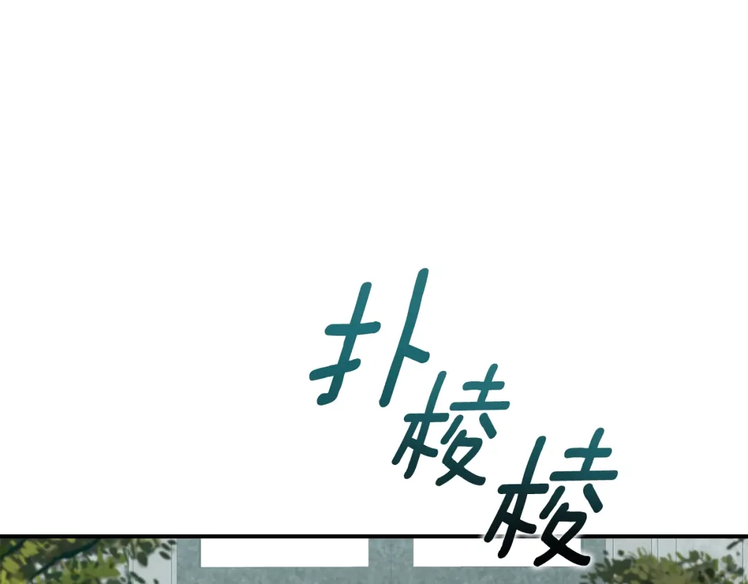 第196页
