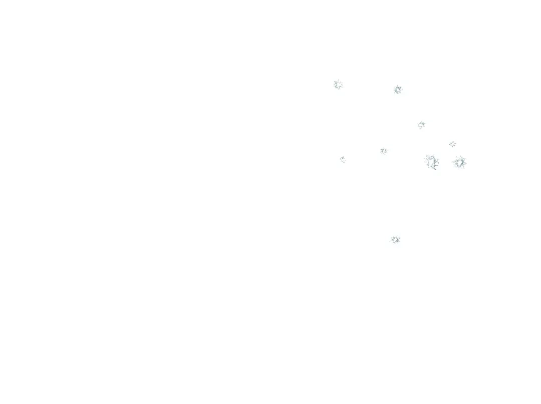 第212页