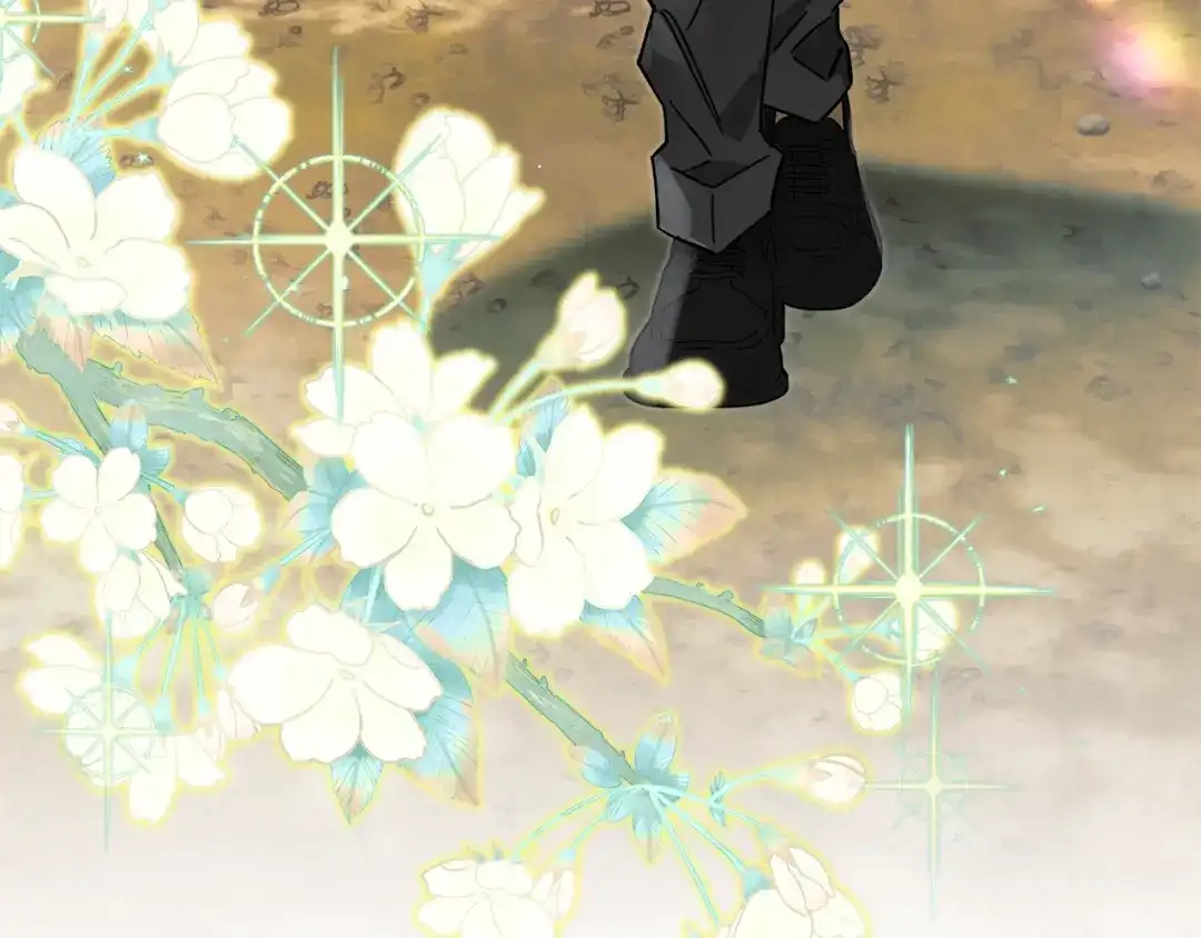 第215页
