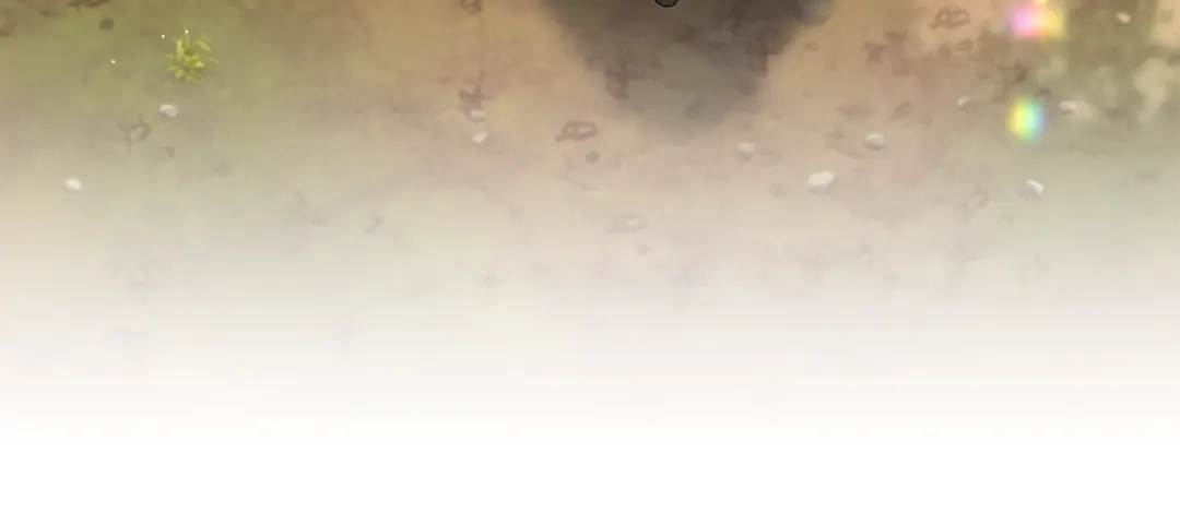 第223页