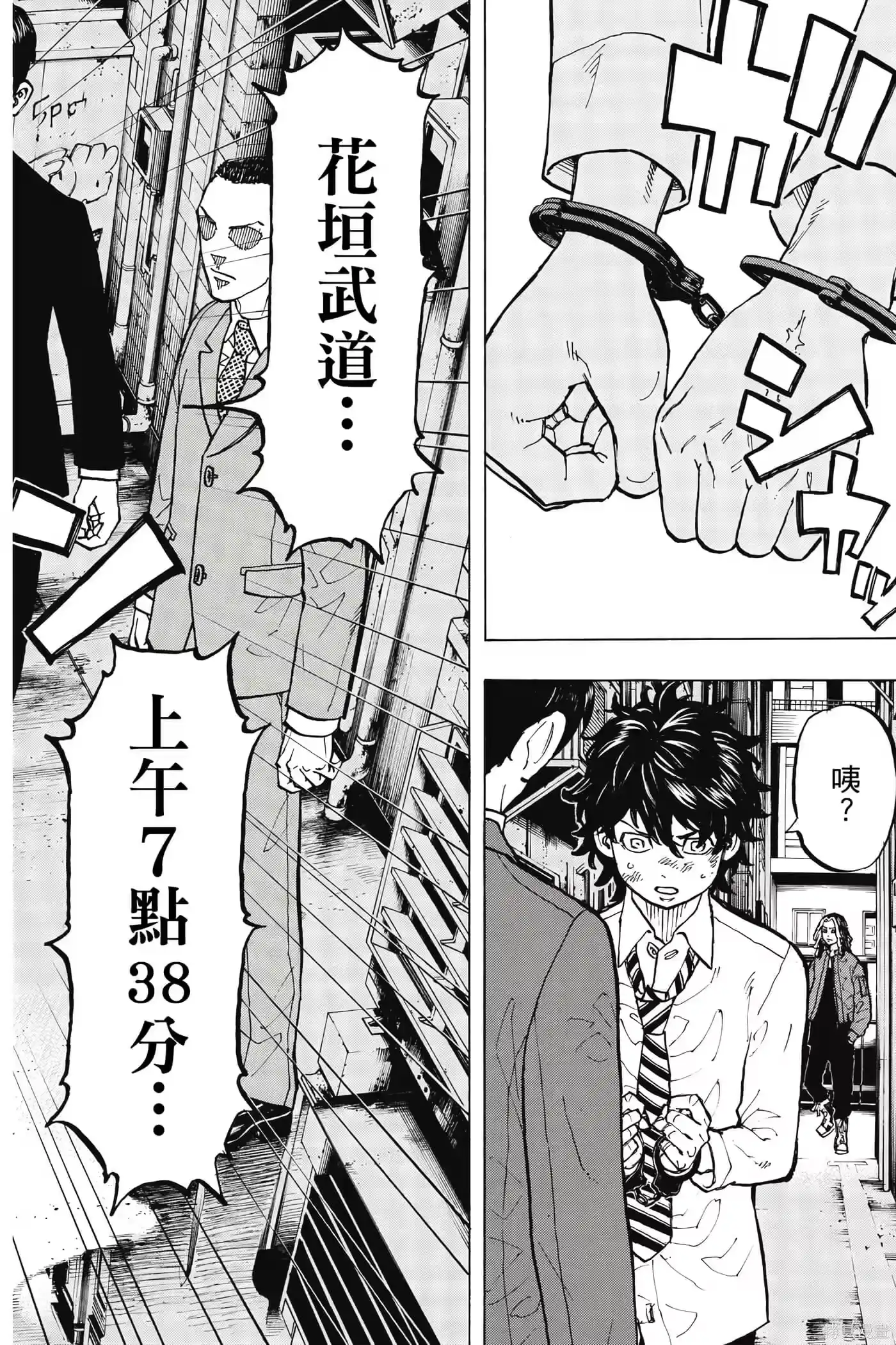 第101页