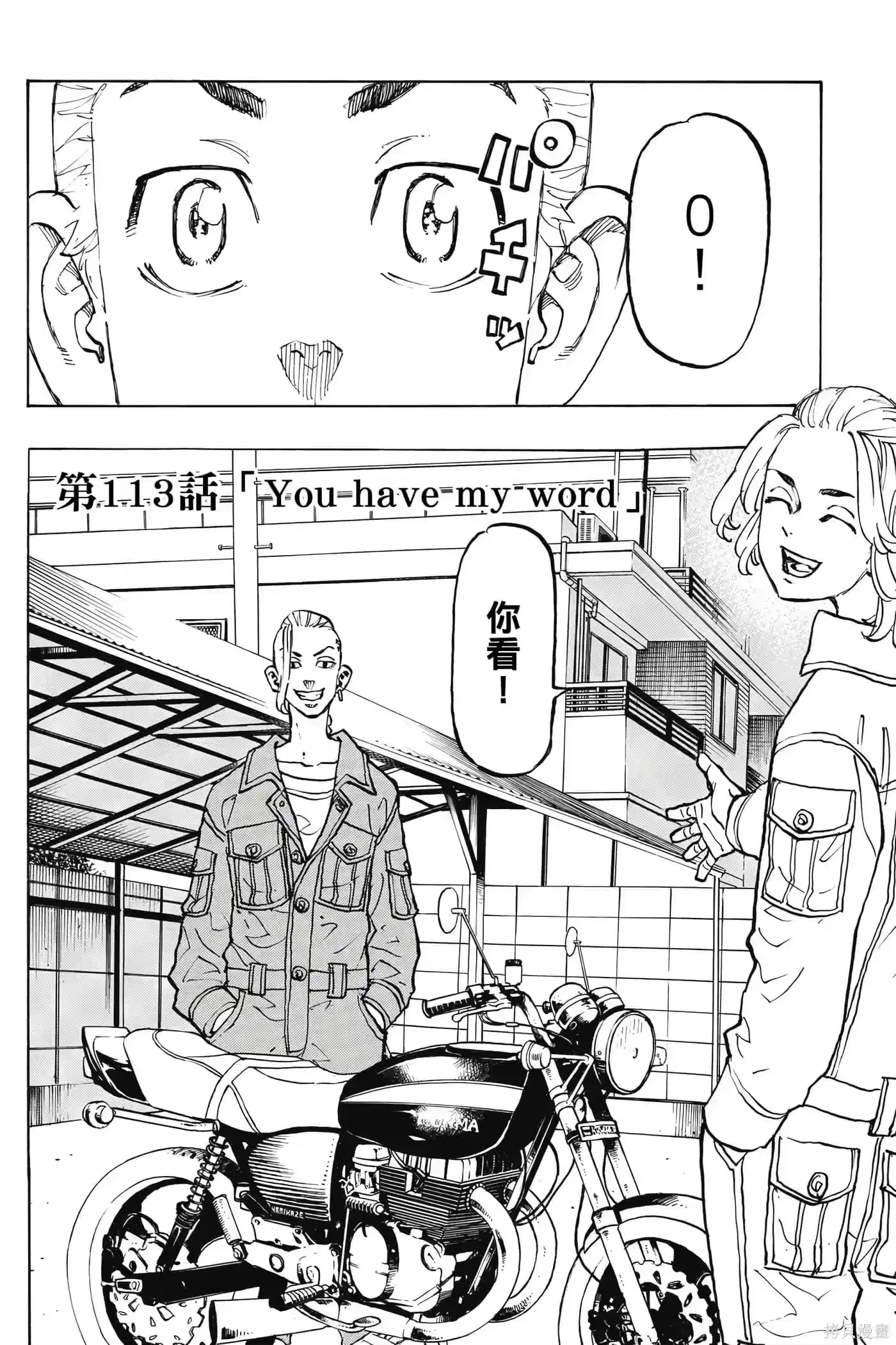 第113页