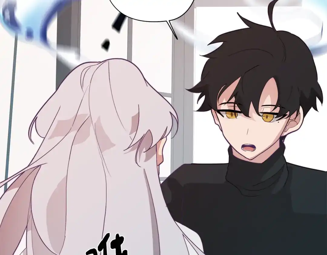 第185页