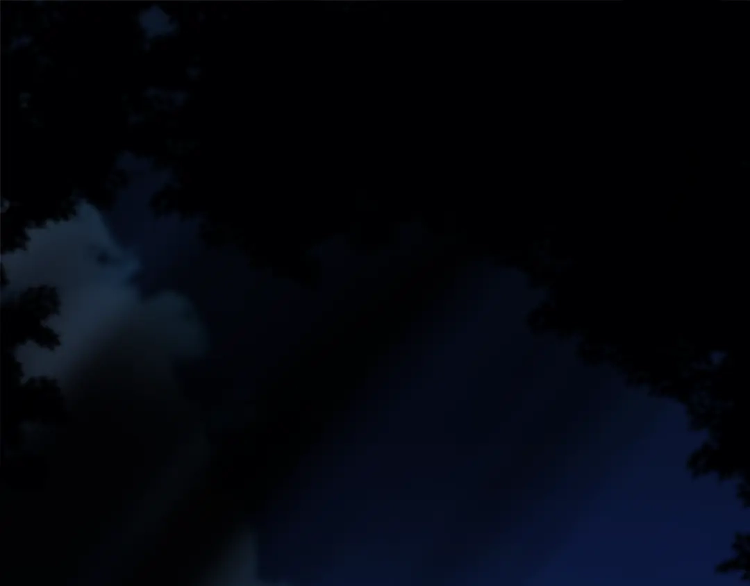 第191页