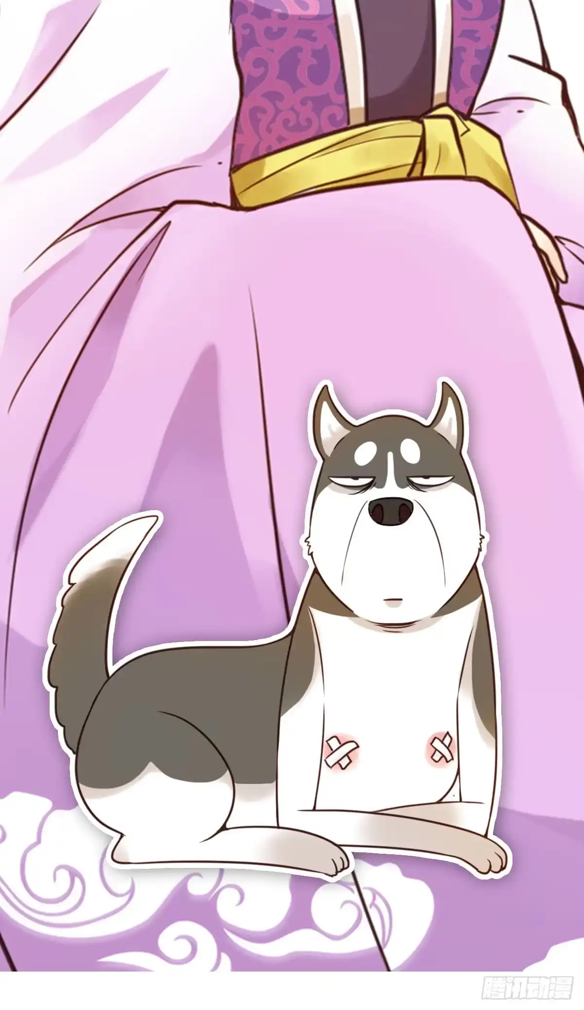 第40页