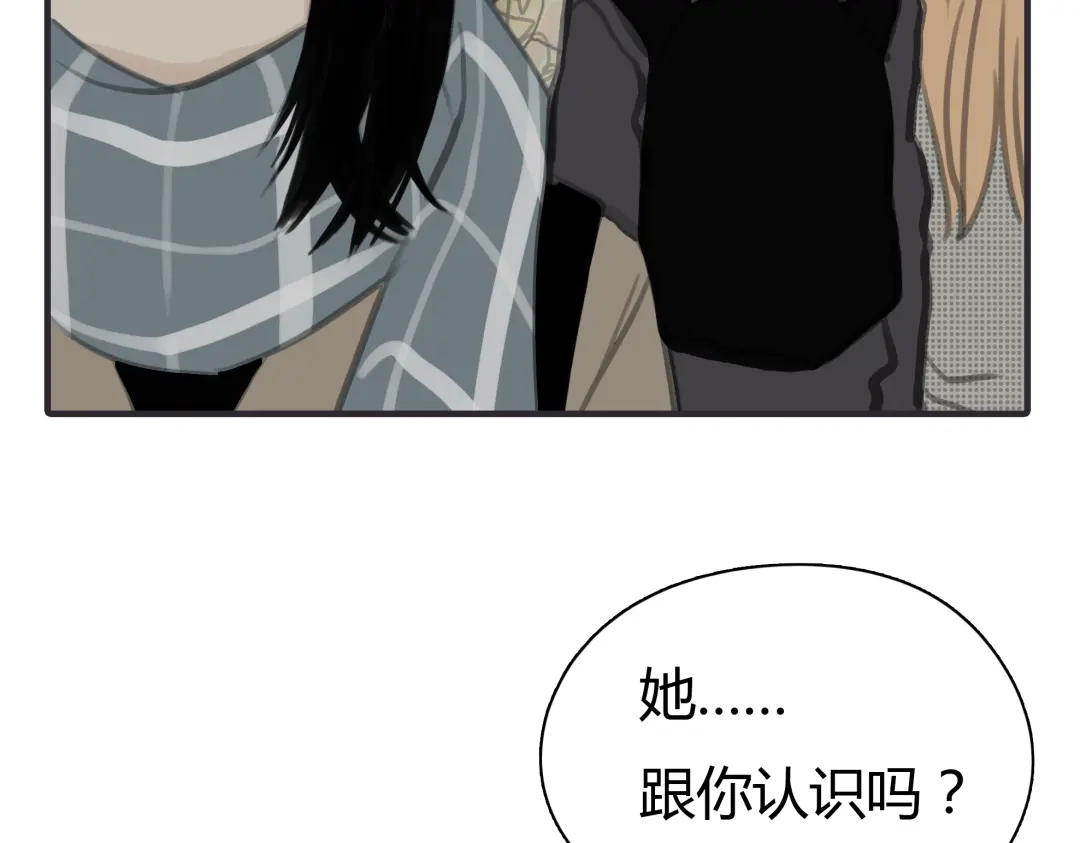 第233页