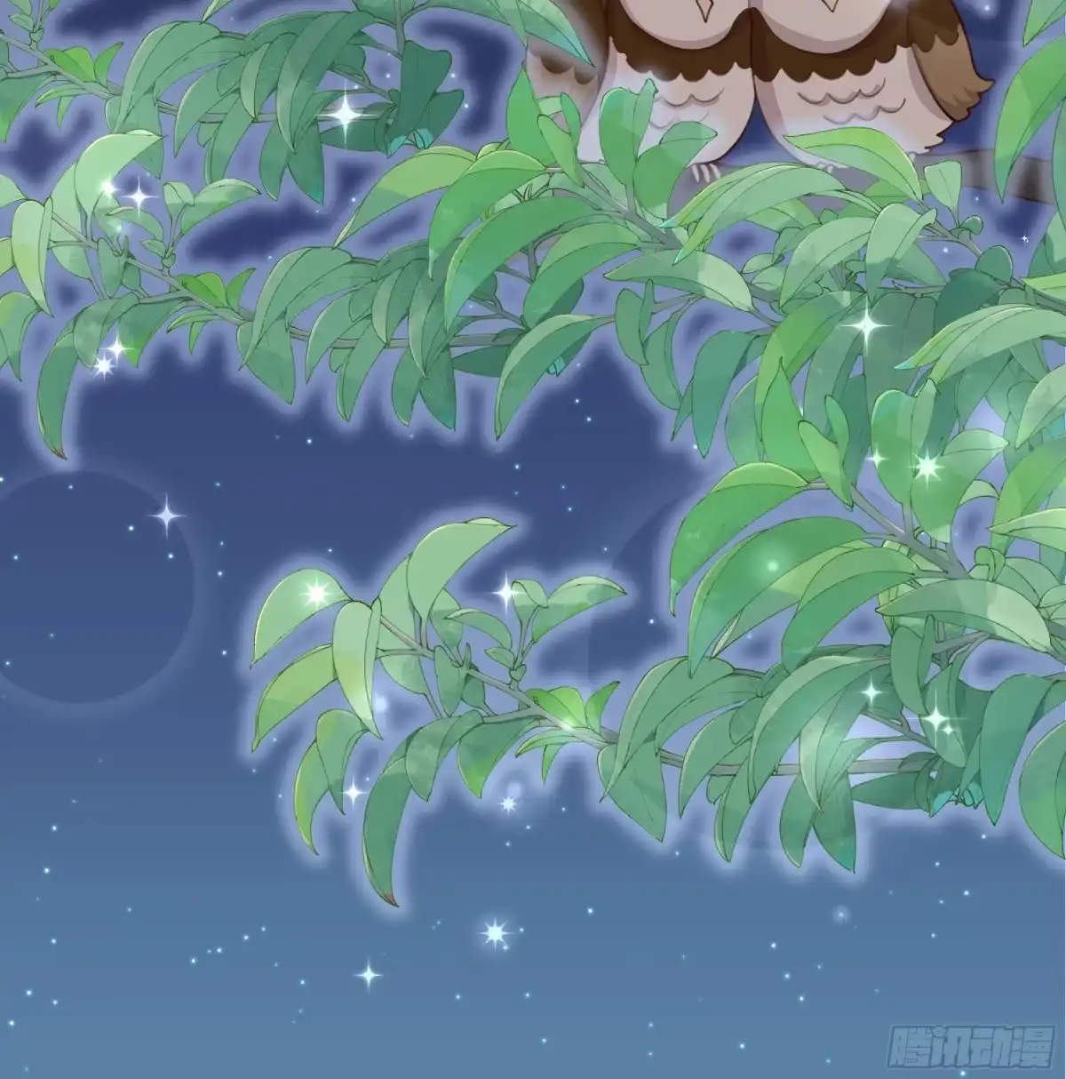 第52页