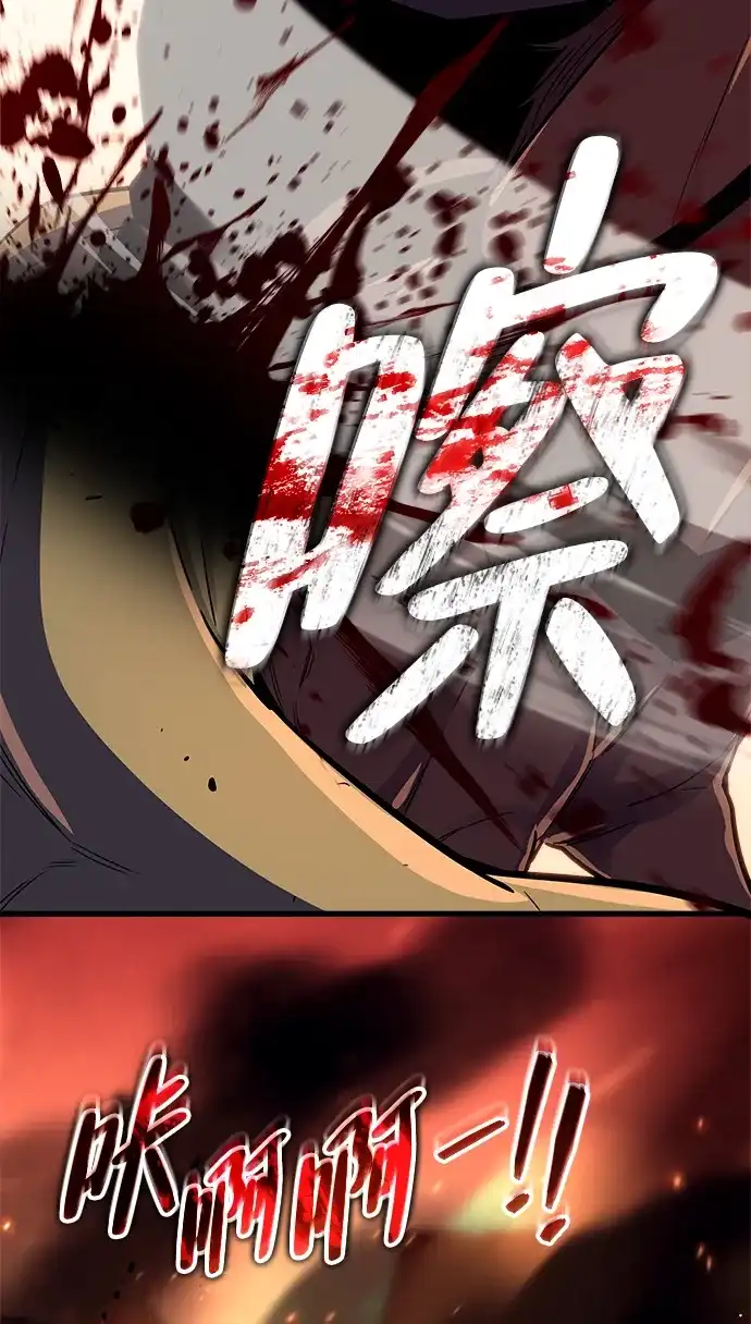第204页