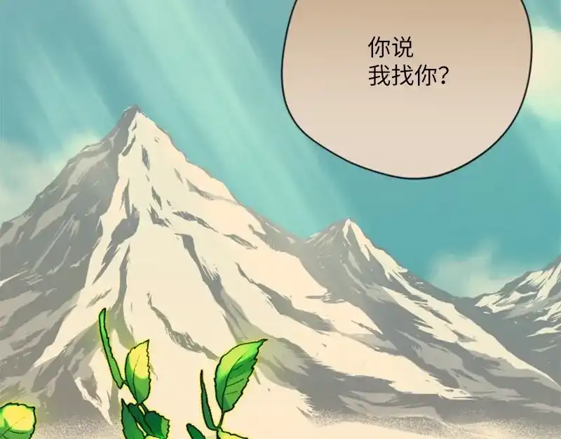 第196页