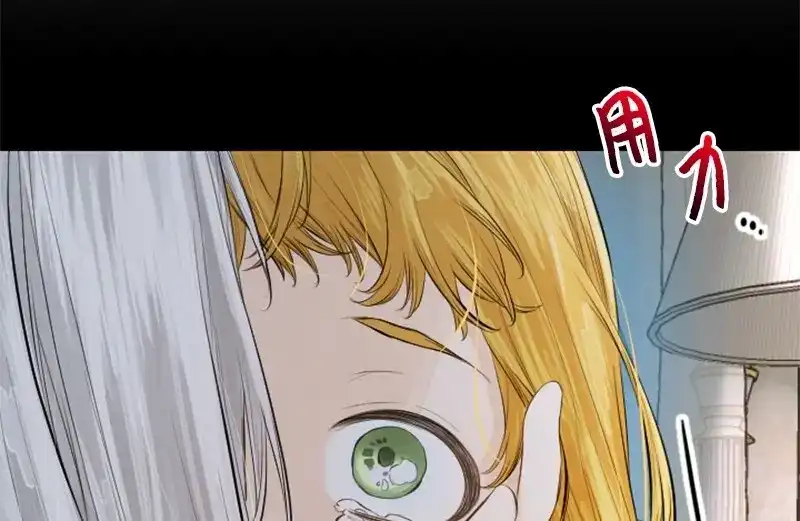 第221页