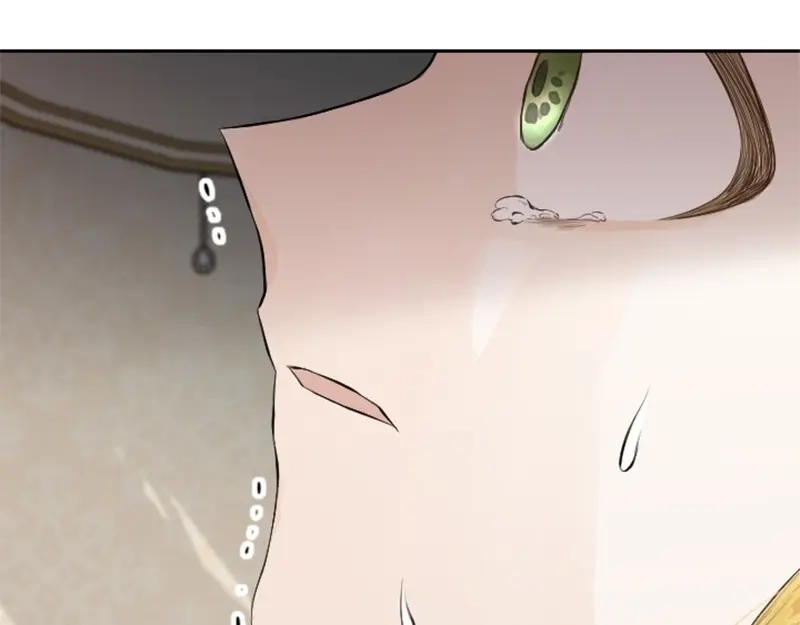 第238页