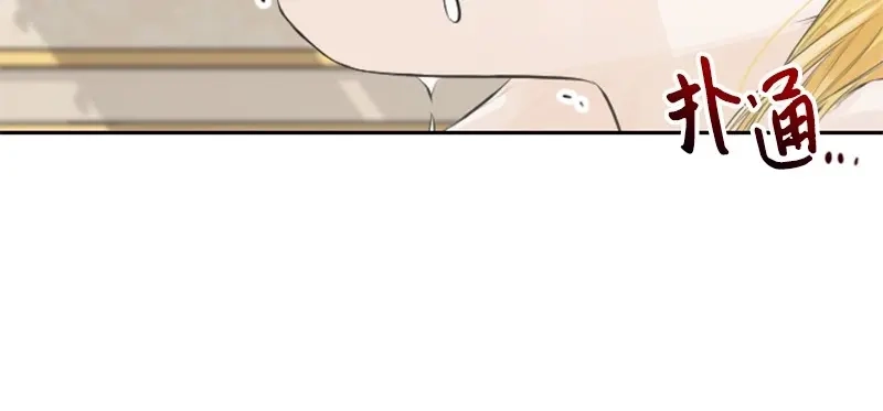 第239页