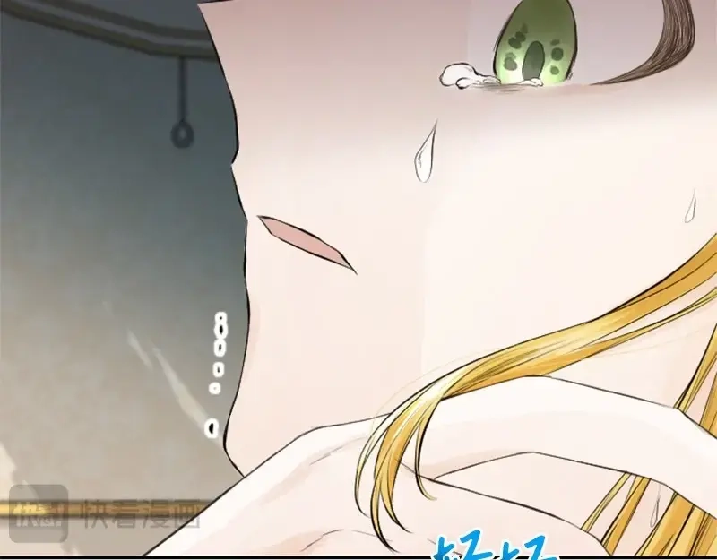 第241页