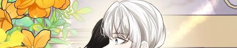 第247页
