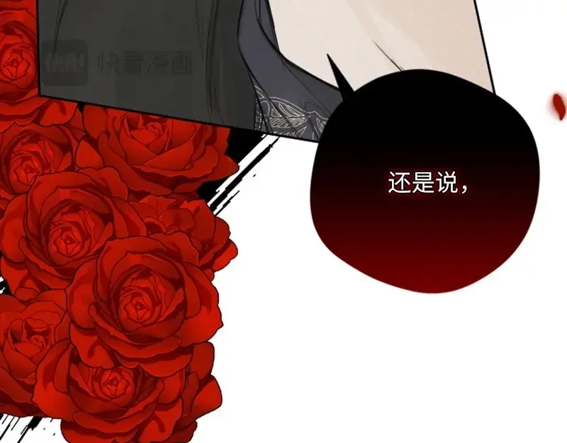 第242页