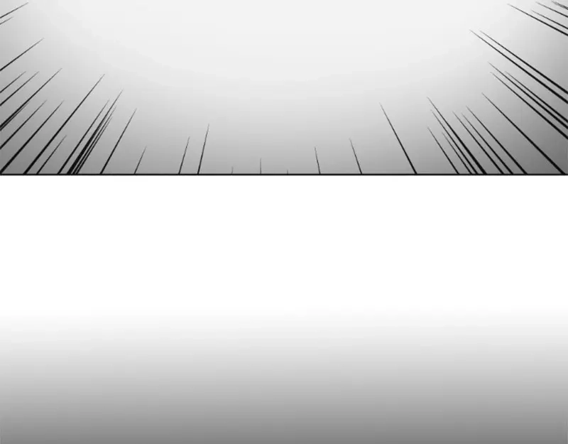第236页