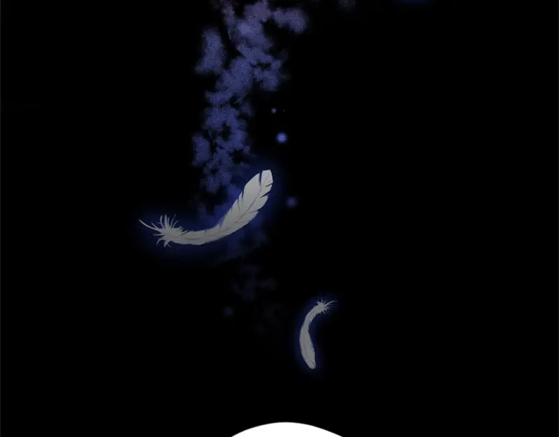第271页