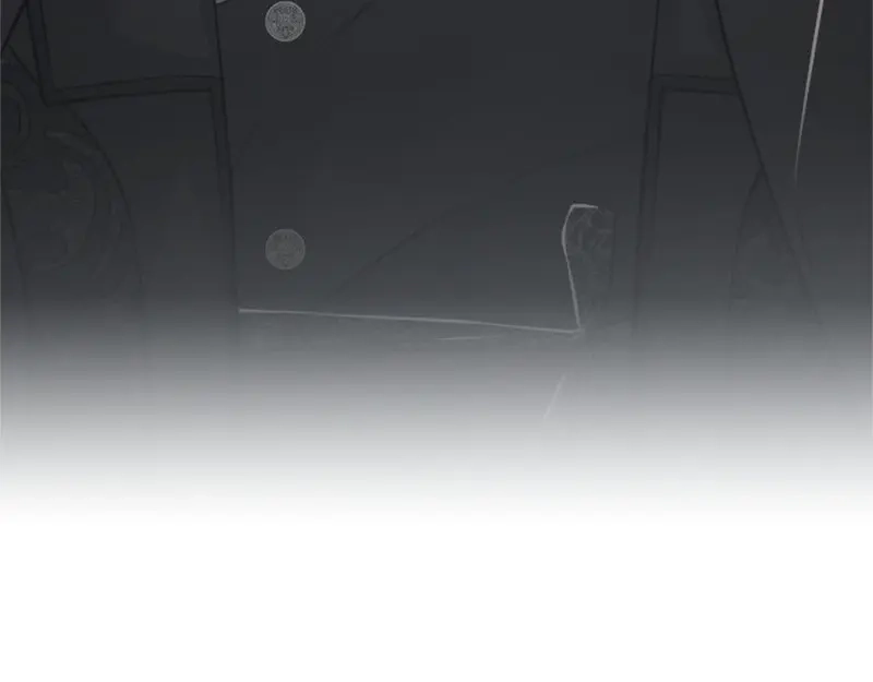 第223页