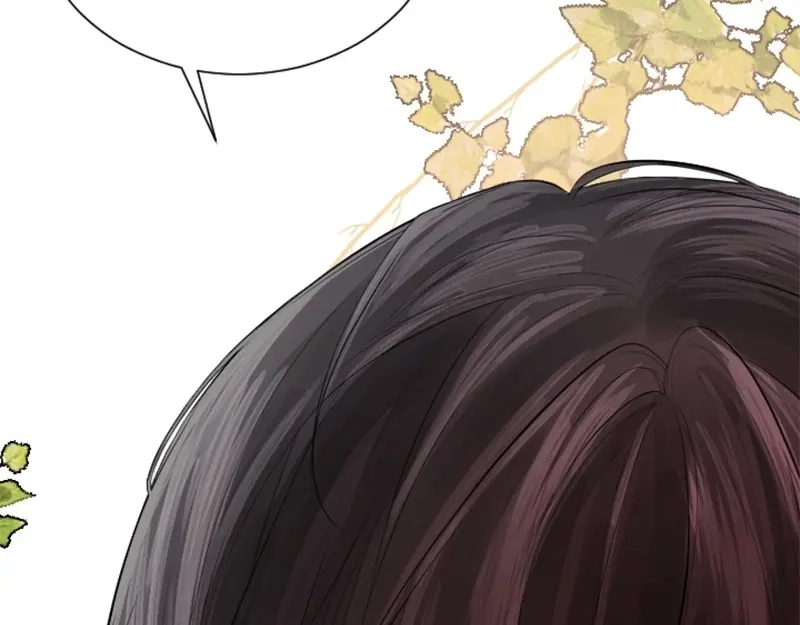 第236页