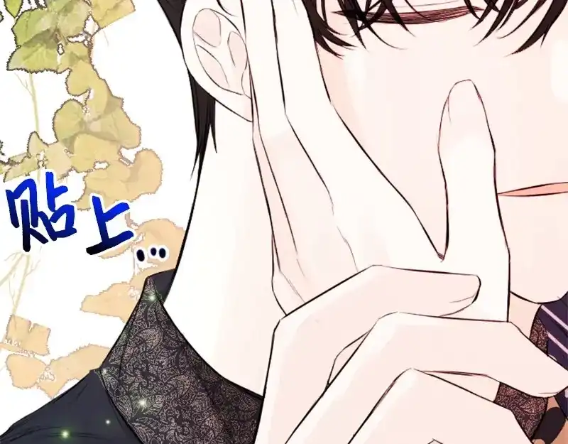 第238页