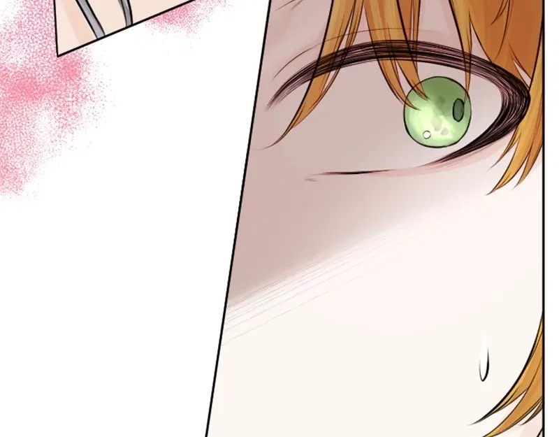第215页