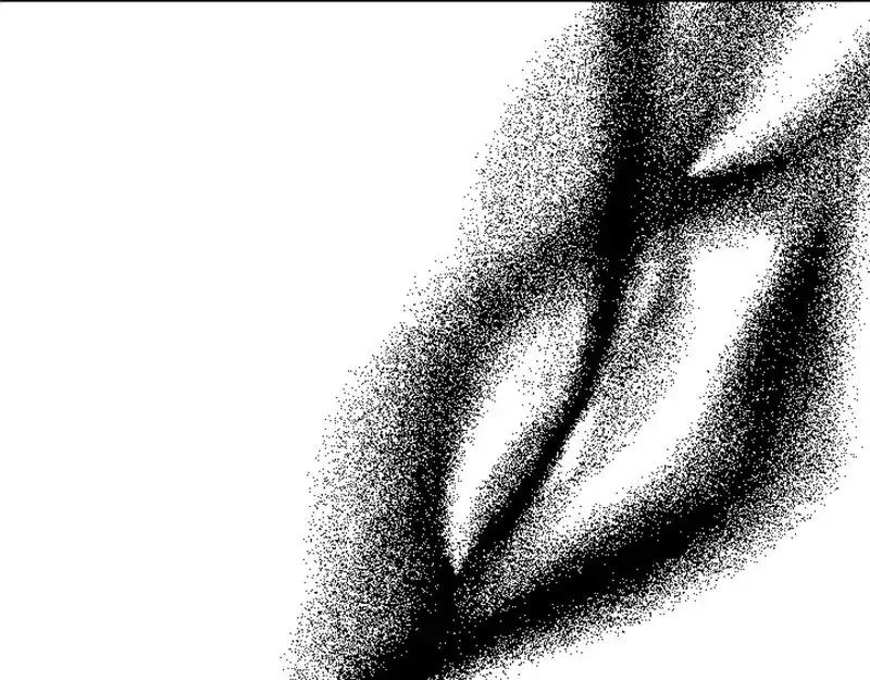 第224页