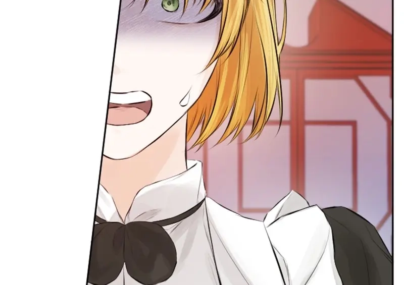 第242页