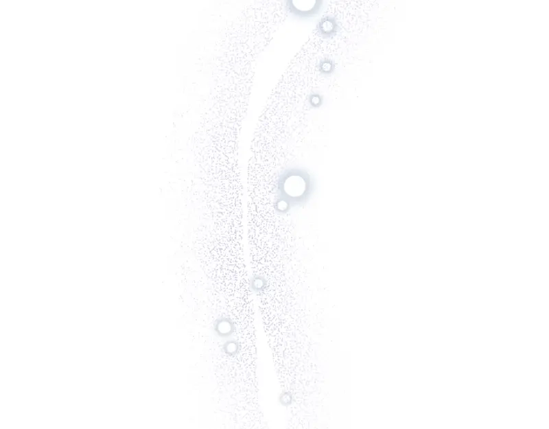 第194页