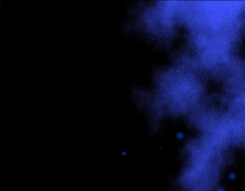 第212页