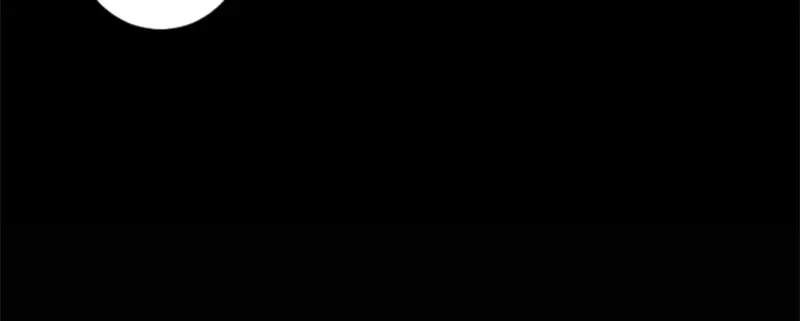 第223页