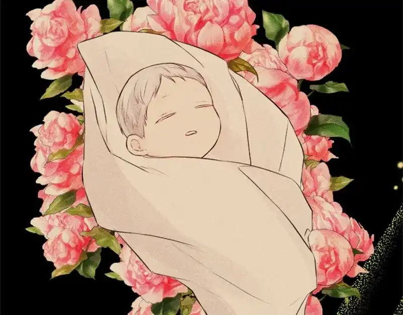 第146页