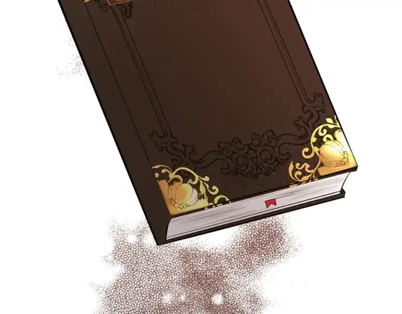 第216页