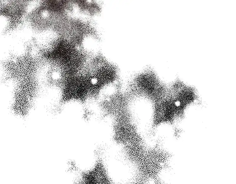 第219页