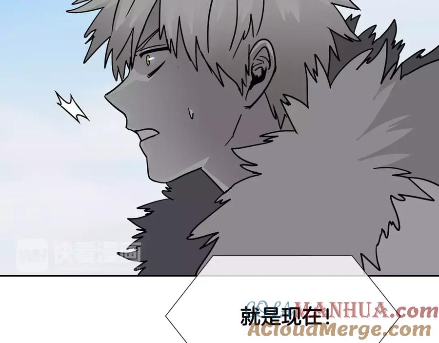 第338页