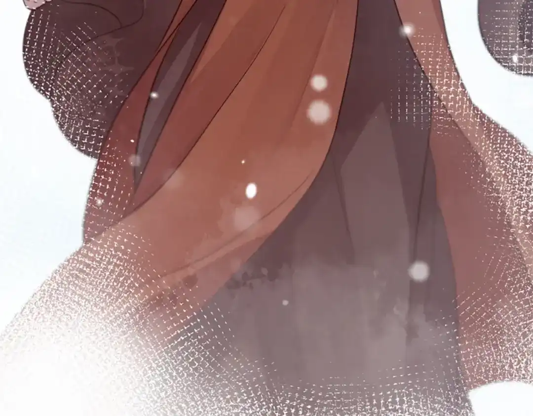 第223页