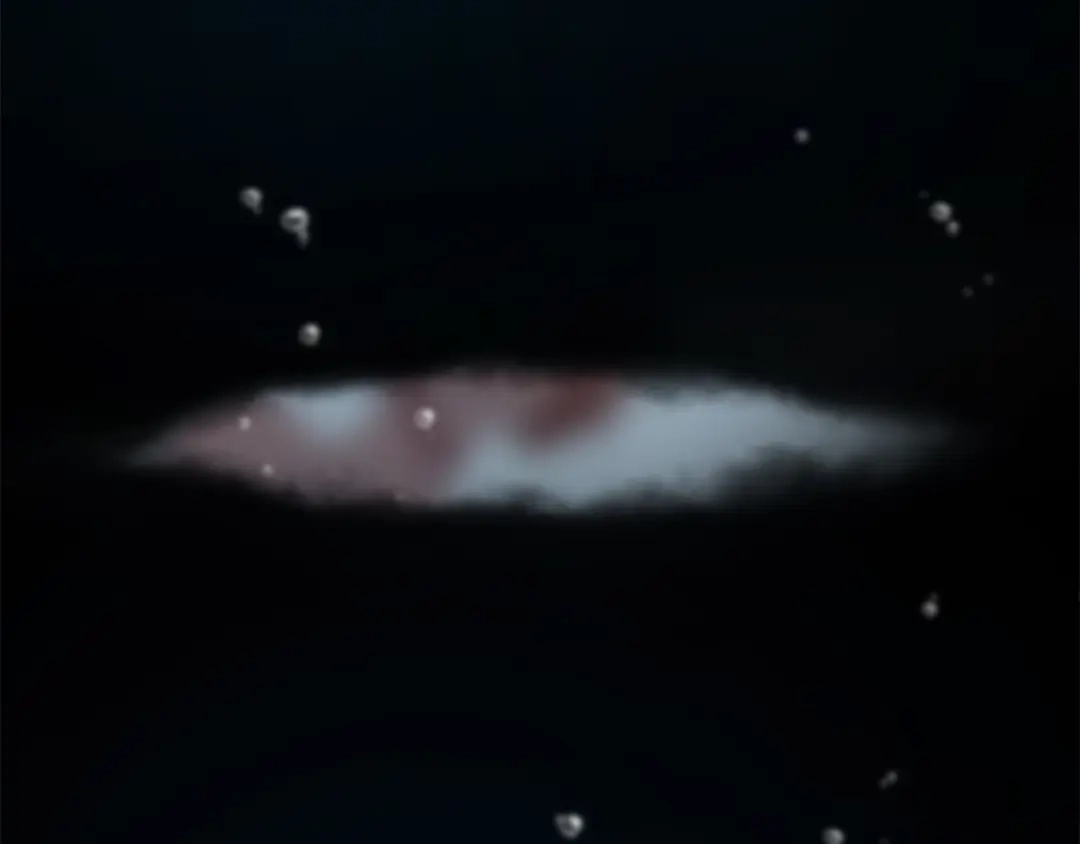 第53页