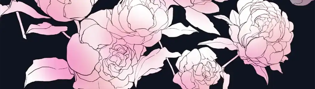 第204页