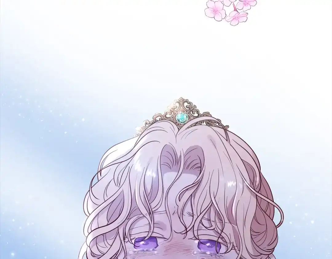 第204页